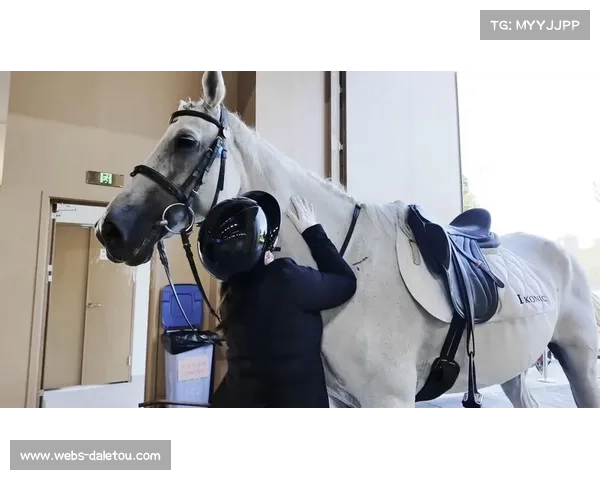 世界马术锦标赛:盛装舞步评分标准改革引发选手质疑 世界马术锦标赛:盛装舞步评分标准改革引发选手质疑